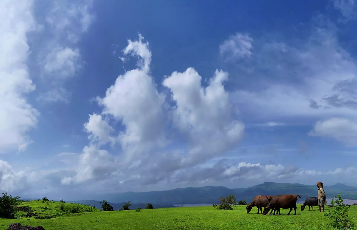 Landscape Photography 12