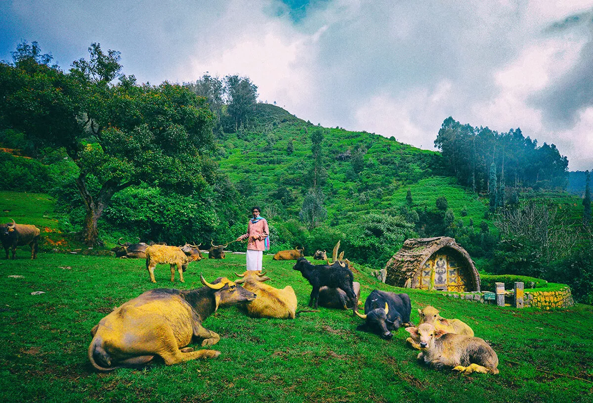 Sankeet Photography Asian Paints 3