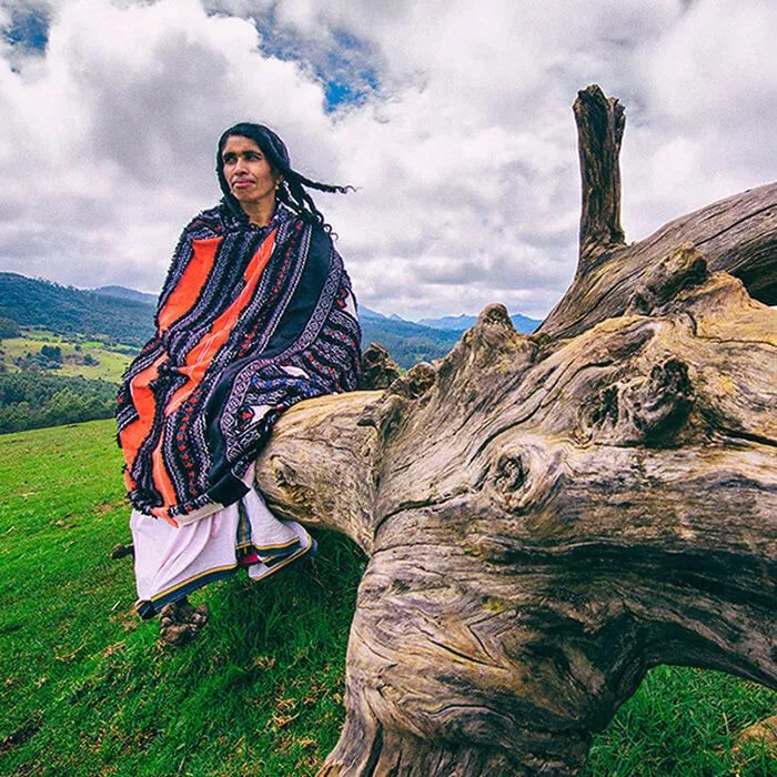 Sankeet-Photography-Asian-Paints