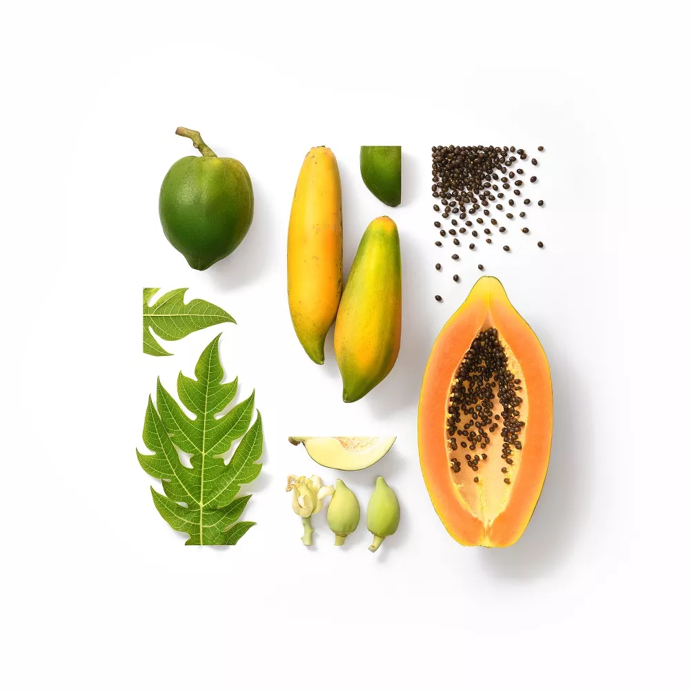 Food Family Portraits