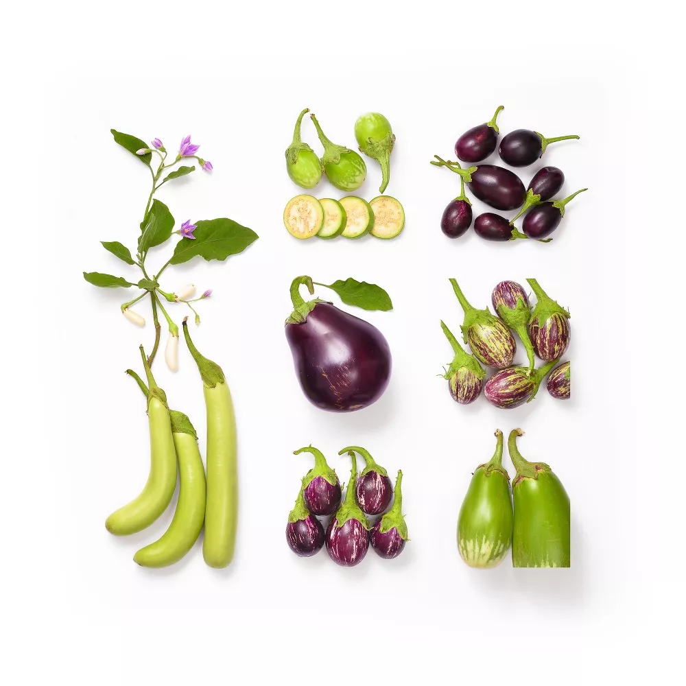 Food Family Portraits