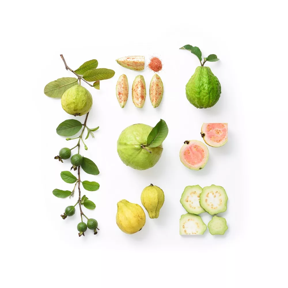 Food Family Portraits