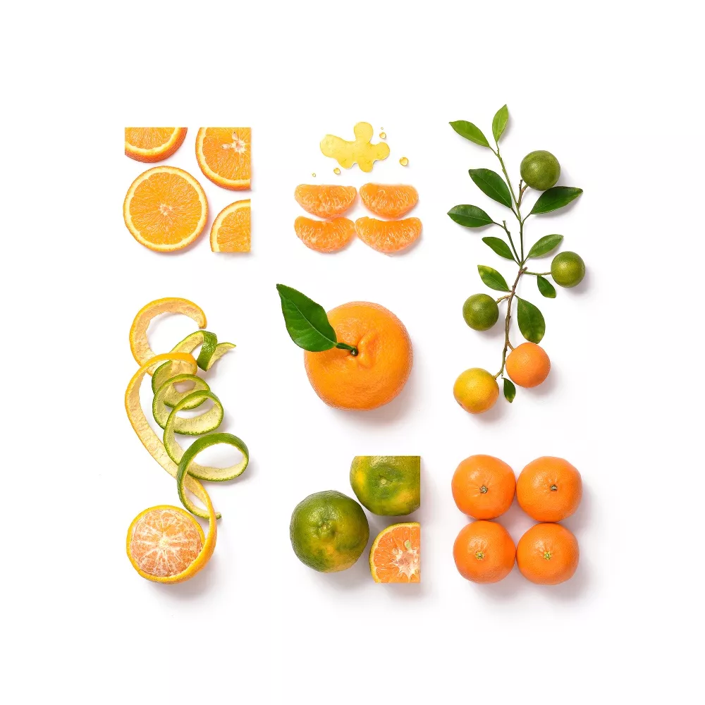 Food Family Portraits