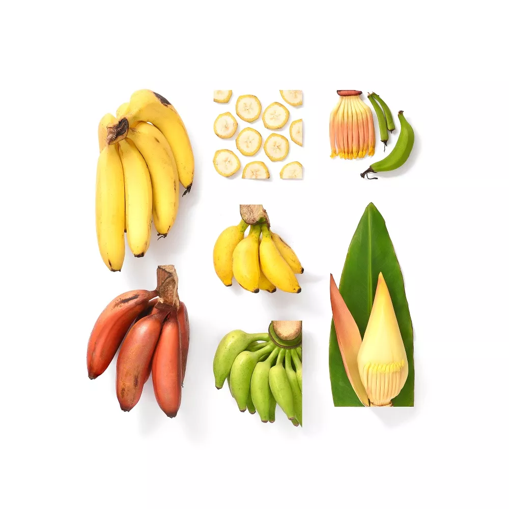 Food Family Portraits
