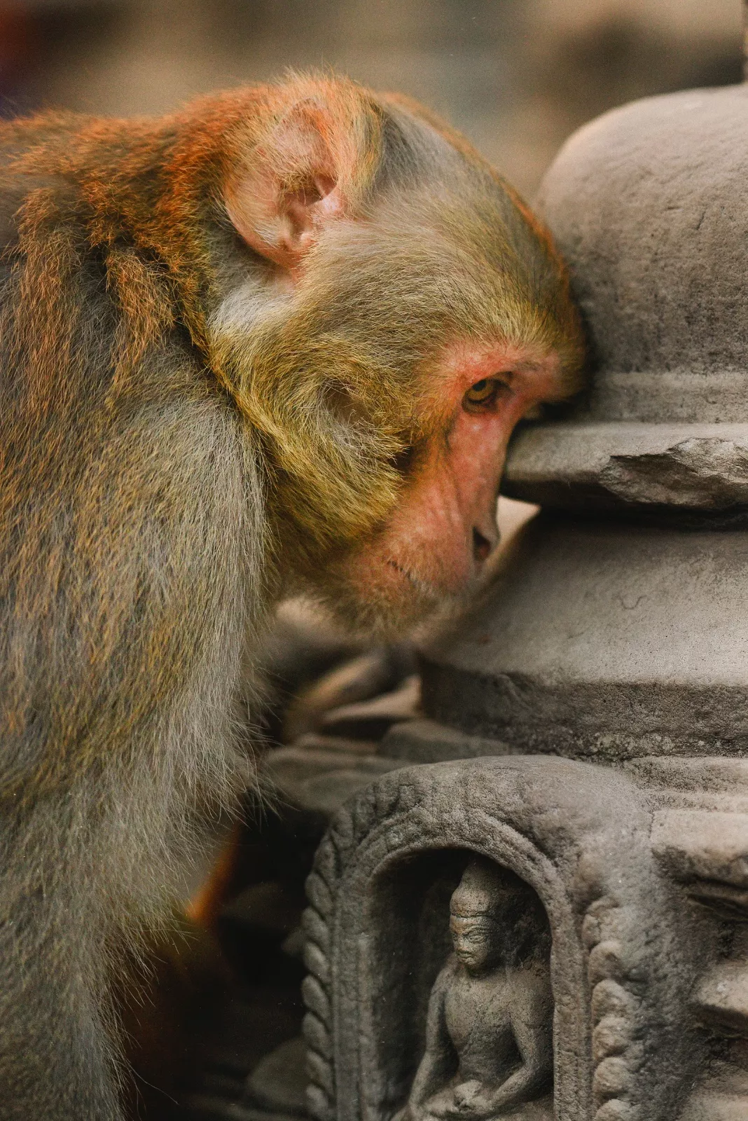 Nepal Photography 14