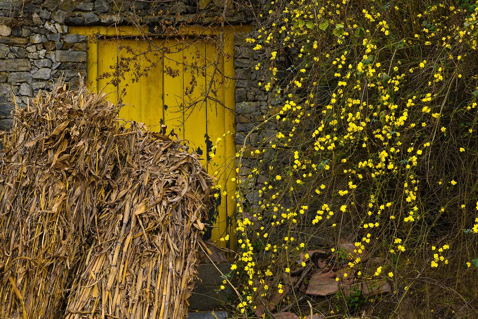 Nepal Photography 19