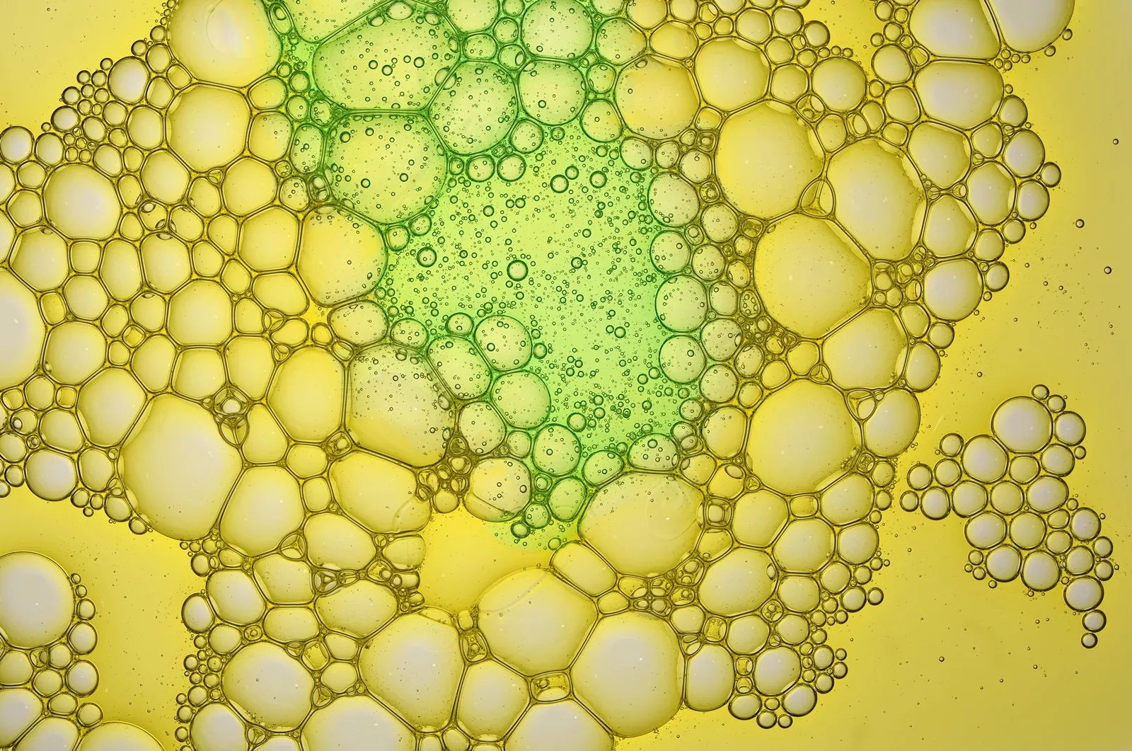 Texture Photography 19