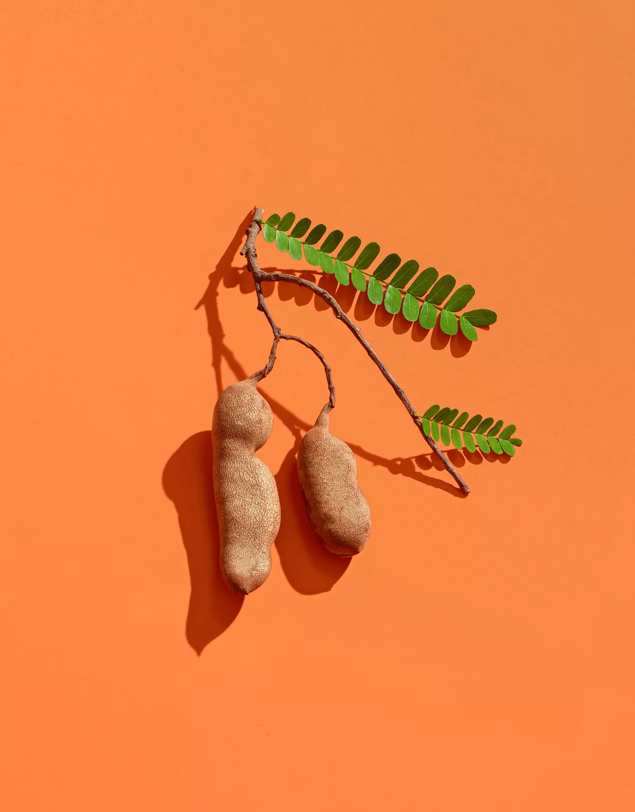 Product Photography Desi Pops 4