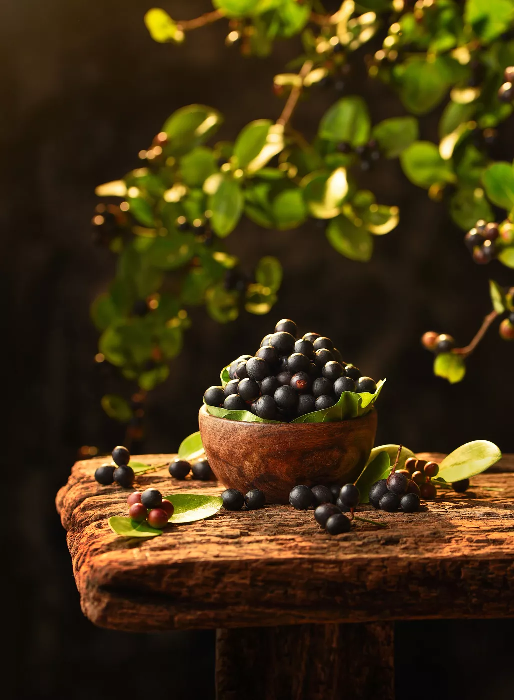 Product Photography Fruits 5